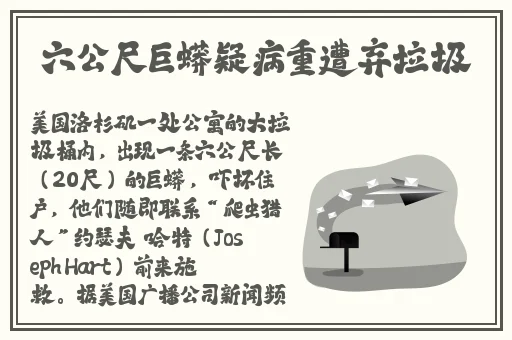 久久天天躁狠狠躁夜夜AVAPP